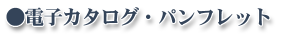 �d�q�J�^���O�E�p���t���b�g